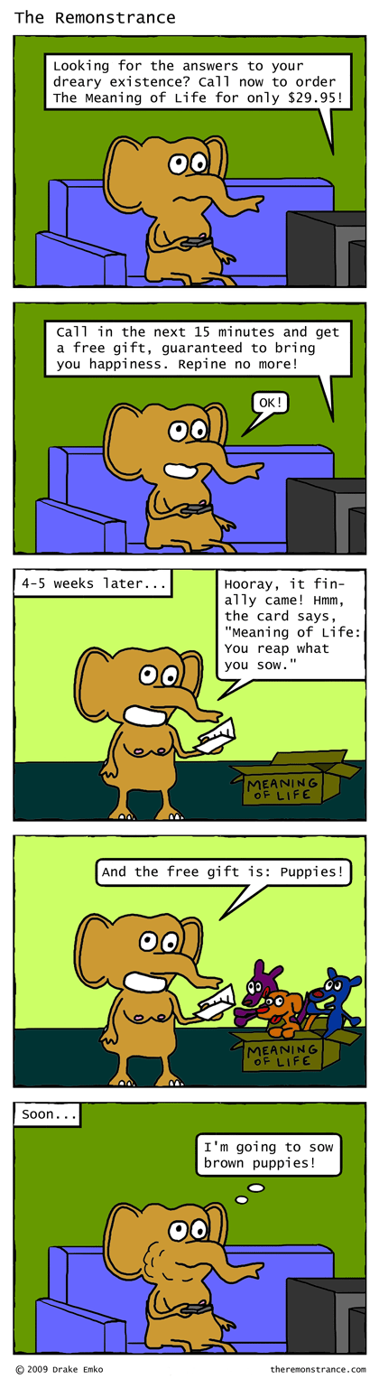 The Meaning of Life - The Remonstrance comic for 2009-02-16. Word of the day: repine