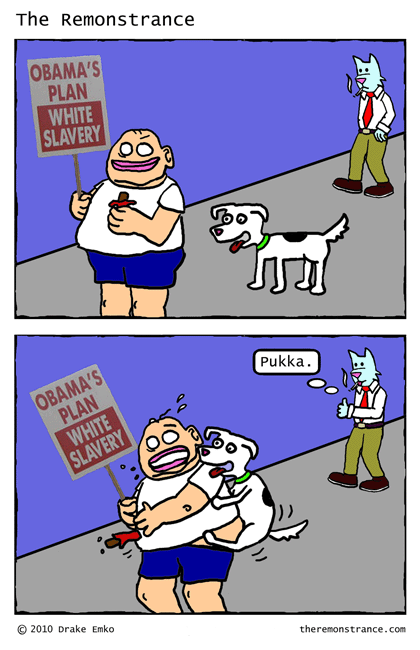 Something Awesome - The Remonstrance comic for 2010-05-03. Word of the day: pukka